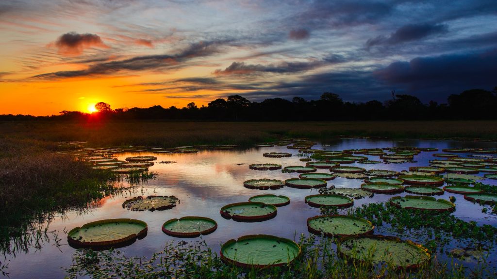 World Wetlands Day 2025