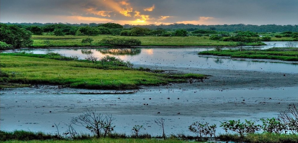 World Wetlands Day 2025