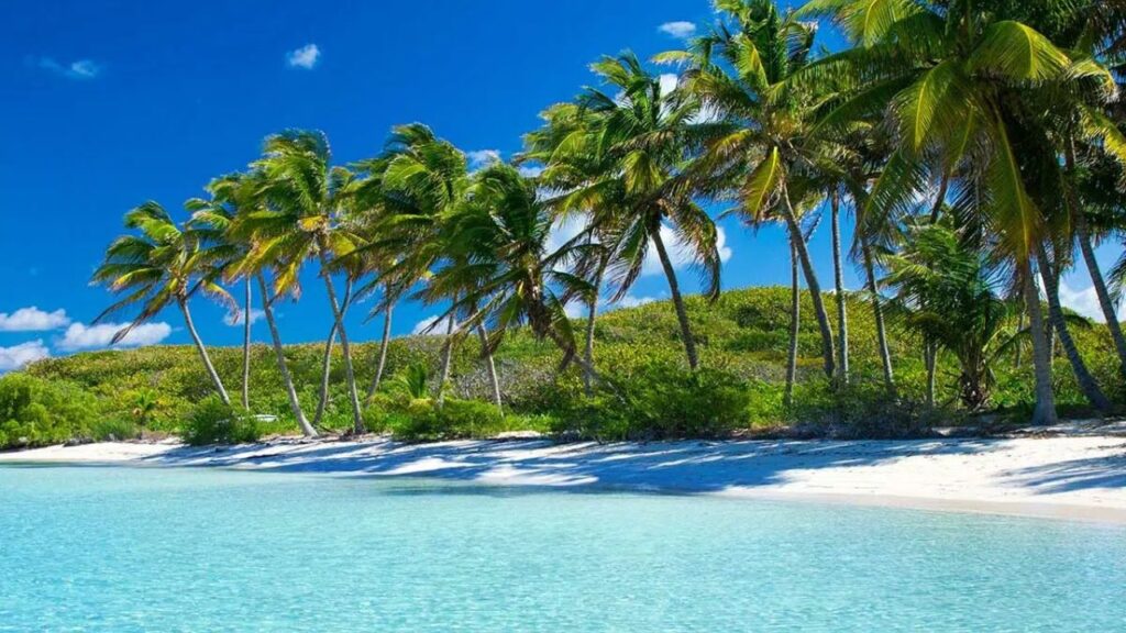 International Day Of The Tropics 2025 In Hindi