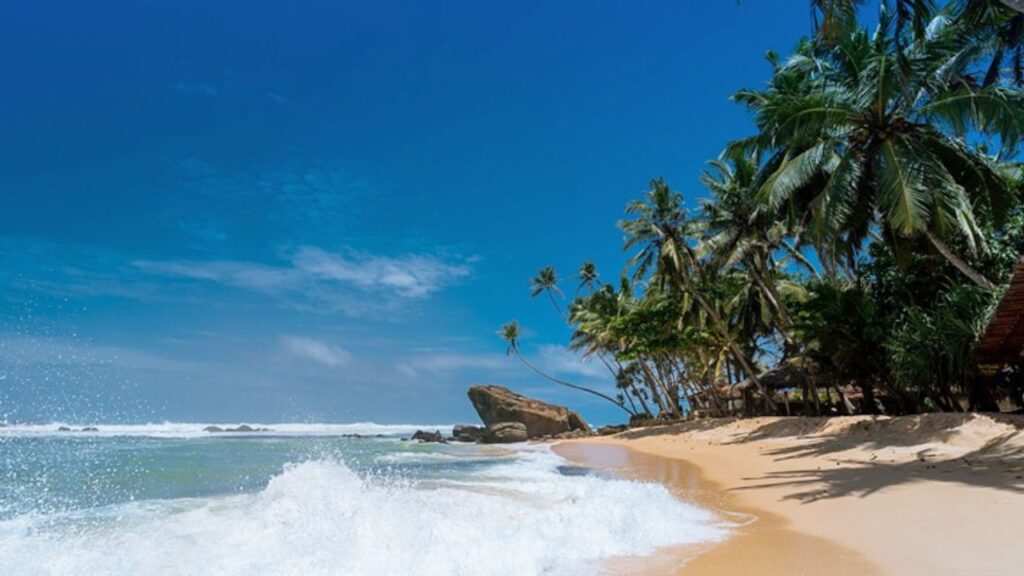 International Day Of The Tropics 2025 In Hindi