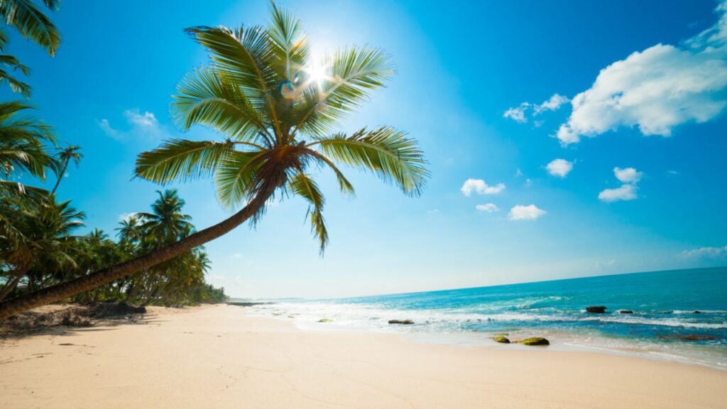 International Day Of The Tropics 2025 In Hindi