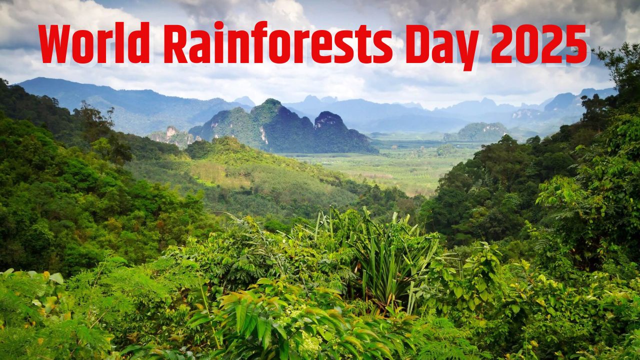 World Rainforests Day 2025 In Hindi